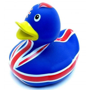 Union jack Duck